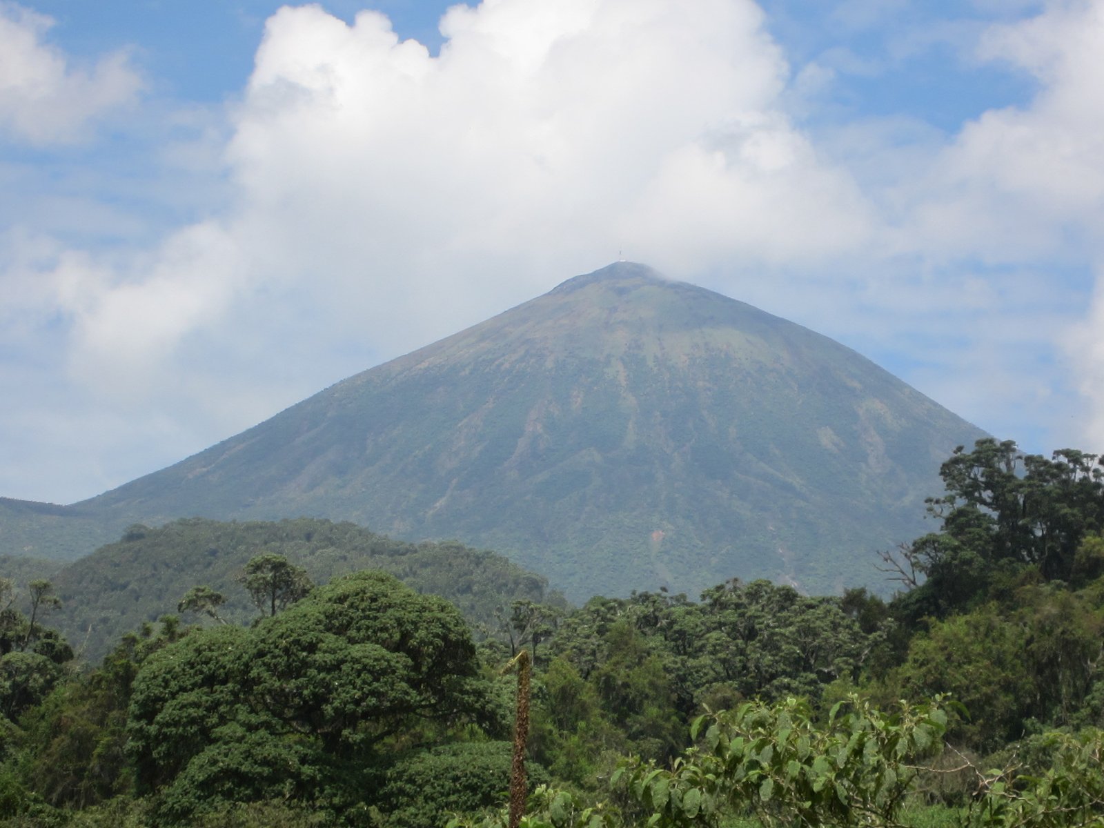 Volcanoes National Park, Rwanda